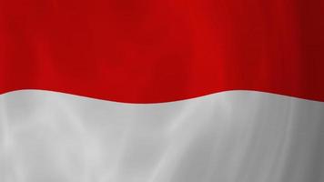 animación de fondo de izamiento de bandera roja y blanca de indonesia video