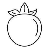 Persimmon icon, outline style vector