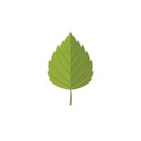 Birch leaf icon, flat style vector