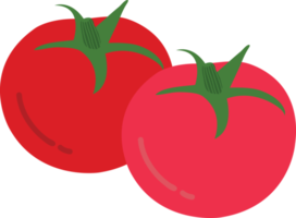 Hand drawn style drawing tomato png