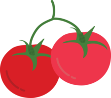 Hand drawn style drawing tomato png