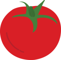 Hand drawn style drawing tomato png