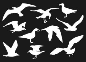 Set of silhouette of flying seagulls. Hand drawn illustration converted to vector. vector