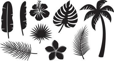 Tropical Plants Icons Collection - Hibiscus, Banana Leaf, Palm Tree,  Monstera, Frangipani Flower. Vector Illustration.
