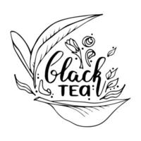 cartel de tipografía manuscrita con frase de bebidas en él. cita de caligrafía vectorial con ceremonia de té negro. tinta de garabato dibujada a mano sobre fondo blanco aislado. vector