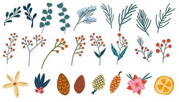 conjunto de ramitas de abeto, bayas y conos. plantas de invierno navidad follaje ramitas ramas frutos rojos. pino, abeto, ramas y conos de abeto, serbal, bayas de rosa mosqueta. elementos botánicos de la naturaleza. vector