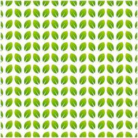 pattern green leaf   background template vector