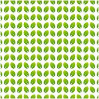 pattern green leaf   background template vector