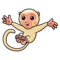 Cute little albino monkey cartoon posing vector