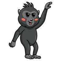 lindo pequeño macaco negro con cresta de dibujos animados vector