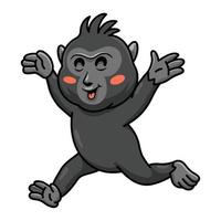 linda pequeña caricatura de macaco negro con cresta caminando vector