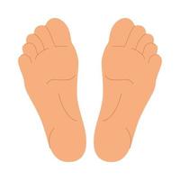 Flat feet for your design. Simple silhouette of foots isolated on white background. Pedicure, podology, acupuncture , size table template. People legs vector illustration.
