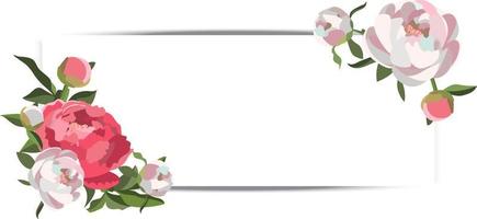 Vector horizontal wedding banner with white and pink peony floral compositions