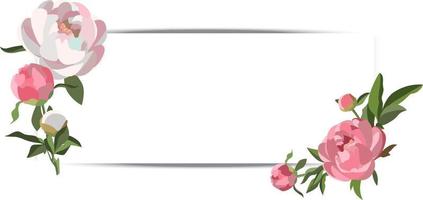 banner de boda horizontal vectorial con arreglos florales de peonía rosa y blanca vector