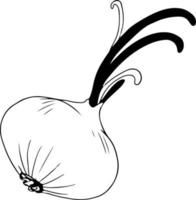 Single onion with leaves sketch, black outline on white background vector