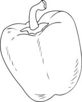 Whole bell pepper sketch, black outline on white background vector