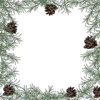 Christmas vintage invitation. Winter fir pine branches, pinecones floral border. Christmas, xmas botanical sketch frame vector card. Pine branch frame for holiday xmas illustration