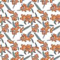 Natural organic sea buckthorn seamless pattern vector illustration sketch