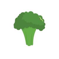 Broccoli icon, flat style. vector