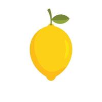 Lemon icon, flat style vector