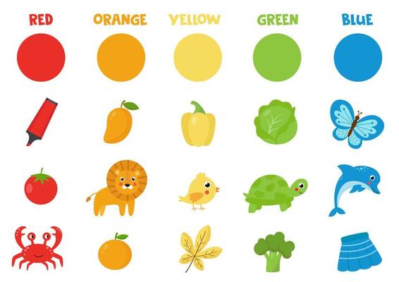 Set of colorful objects. Learning basic colors for preschoolers. Flashcard with red, green, orange, blue, yellow colors.
