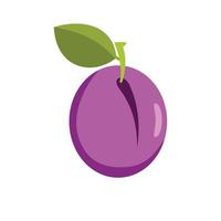 Plum icon, flat style vector