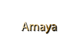 Amaya 3D-Namensmodell png