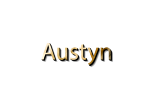 maquette 3d austyn png