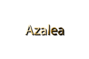 azalea 3d nero e oro modello png