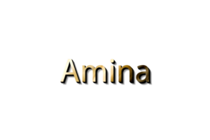 amina 3d modello nome png