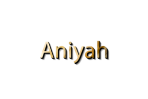 ANIYAH 3D MOCKUP png