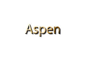 ASPEN 3D MOCKUP png