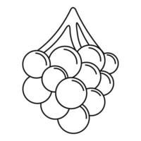 Grape icon, outline style vector