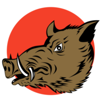 Wild Pig Boar Head png