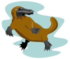 vue de face de l'ornithorynque png