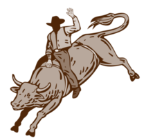 Rodeo Cowboy Bull Riding png