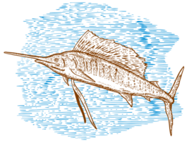 Sailfish Fish Jumping Sketch png
