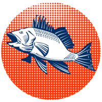 loup de mer rétro png