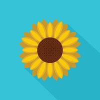Circle of sunflower icon, flat style vector