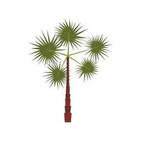 icono de palmera tropical espinosa, tipo plano vector