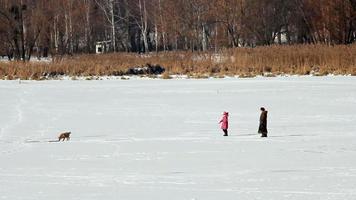 People walking on ice, winter day video