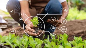 Woman hands gardening lettuce in farm  with growth process and chemical formula on green background. With VR icon photo