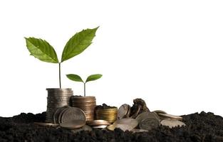 The seedlings are growing on the coins that are stacked together against Isolated in background photo