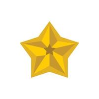 Golden star icon, flat style vector
