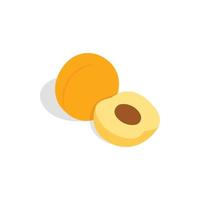 Fresh apricot fruits icon, isometric 3d style vector