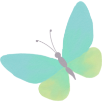 papillon aquarelle png