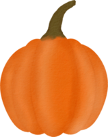 Pumpkin watercolor paint png