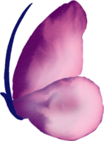 vlinder water kleur png