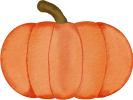 pumpa vattenfärg måla png