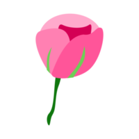 ilustración de flor de tulipanes para elemento de diseño png